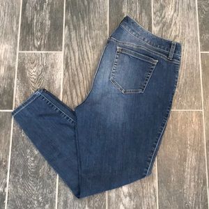 Torrid Skinny Jeans